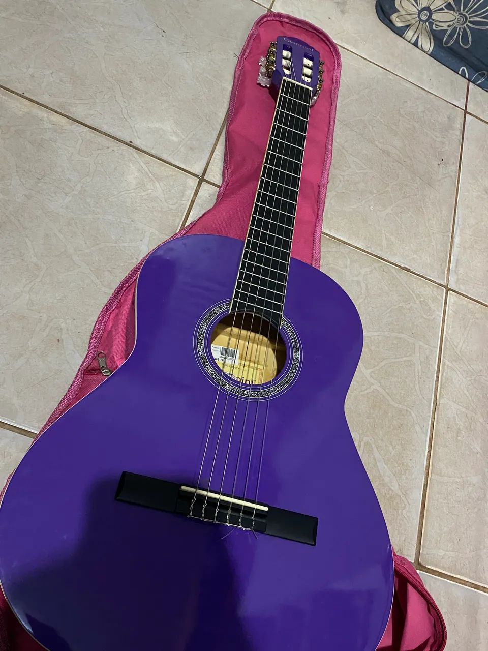 Violão Giannini Rosa
