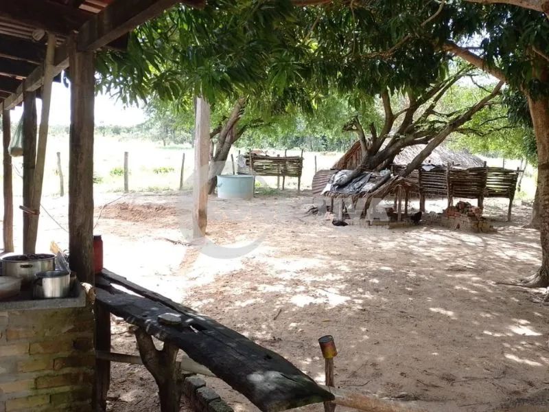 Fazenda - Arraias Tocantins - Foto 2