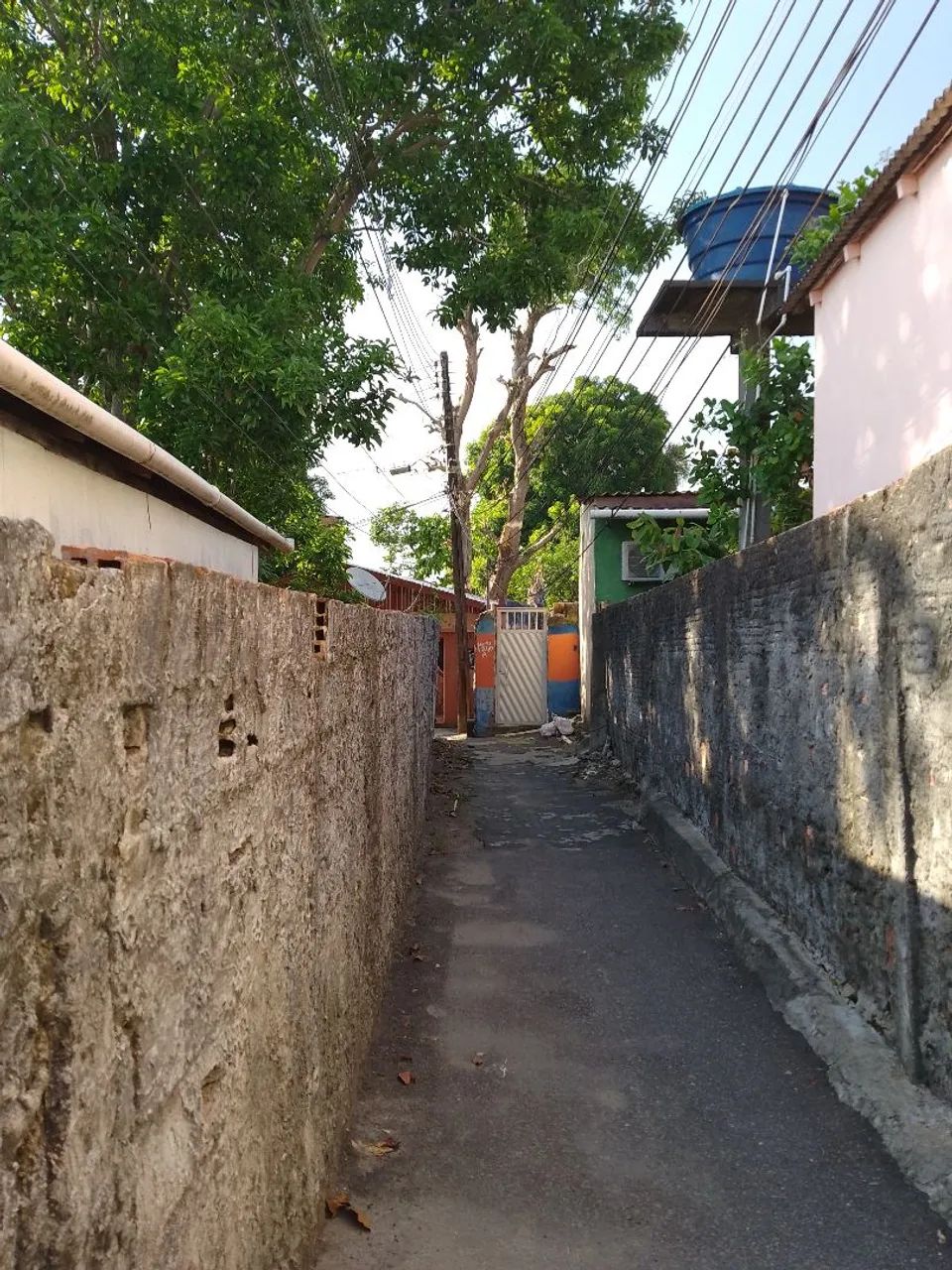 Roçagem Limpeza cortes e podas  - Foto 3