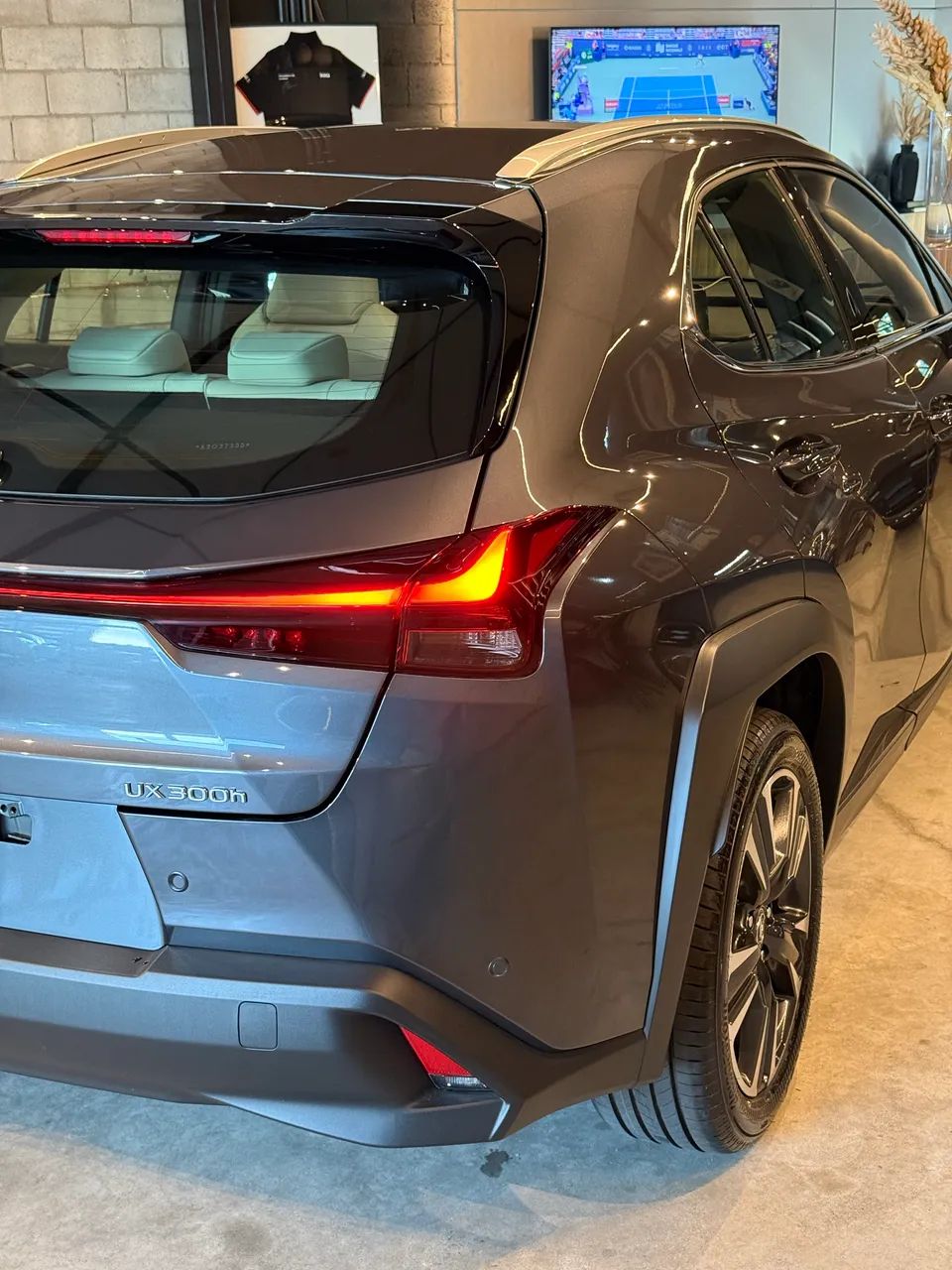 Lexus UX-300h 2.0 16V Aut. (Híbrido), foto 6 de 14