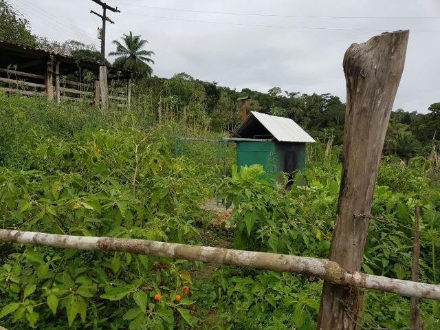 FZ 037- Fazenda Próximo a Ipiaú ? BA com 30 hectares. - Foto 10