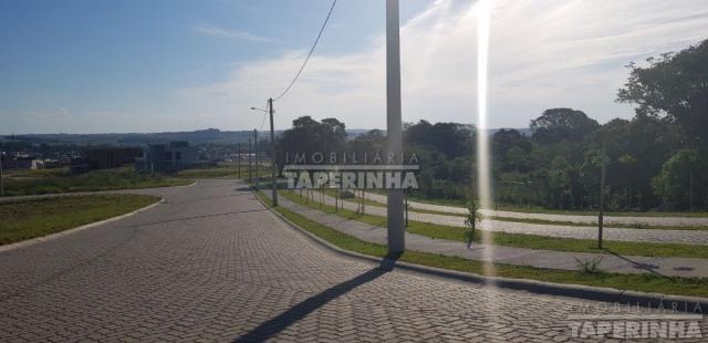 Terreno à venda em Tomazetti, Santa maria cod:10806 - Foto 10