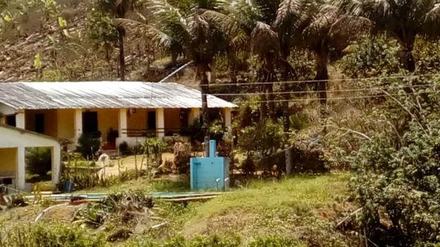 Propriedade de 37 hectares, com 20 hectares de plantio de banana, em Amaraji-PE! - Foto 2