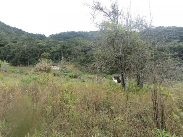 Área rural à venda, Prata dos Aredes, Teresópolis - AR0006. - Foto 6