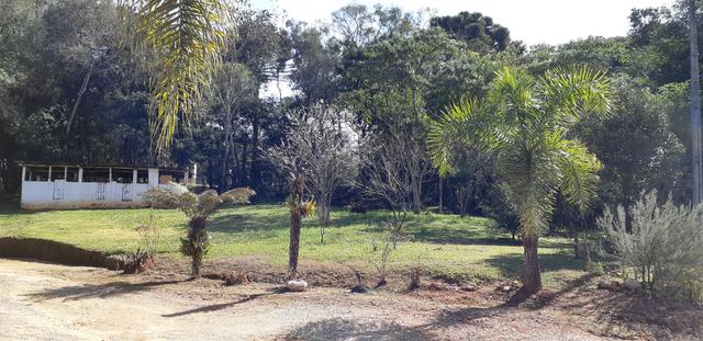 Vendo ou Troco Chácara em Contenda - 3.600 m2 - Foto 6