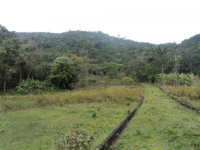 Área rural à venda, Prata dos Aredes, Teresópolis - AR0006. - Foto 7