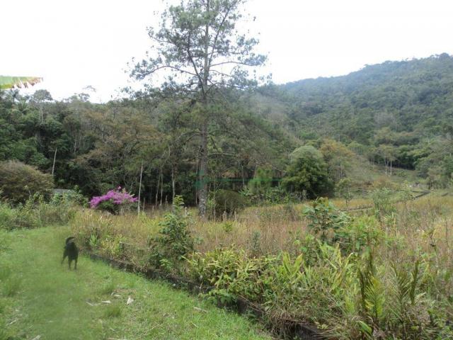 Área rural à venda, Prata dos Aredes, Teresópolis - AR0006. - Foto 5