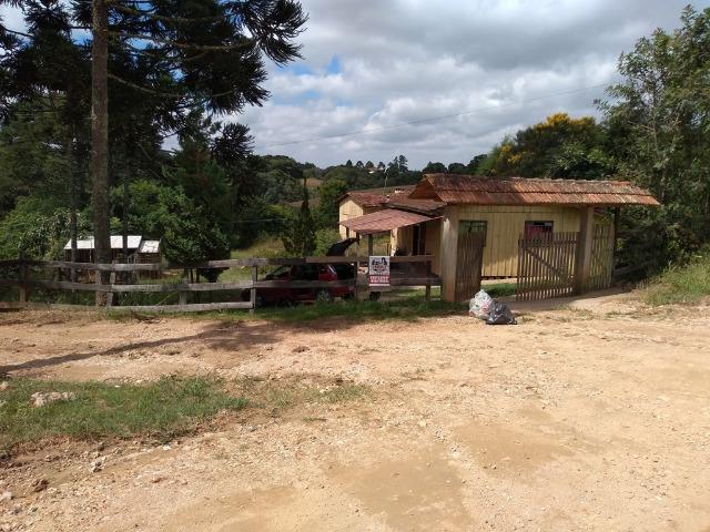 REF 2456 -Chácara Excelente na Serrinha, com 10.000 m², com uma casa - Foto 11