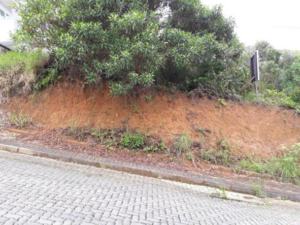 Terreno à venda com 0 dormitórios em Costa e silva, Joinville cod:V33915
