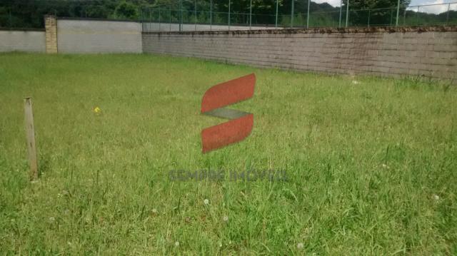 Terreno à venda em Pineville, Pinhais cod:10122-001 - Foto 4