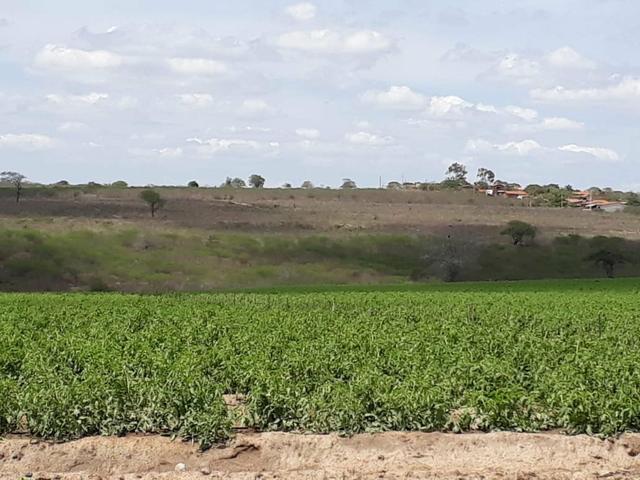 Sítio em Chã Grande, com 10 hectares. Casa sede c/4 qts, sendo 3 suítes,