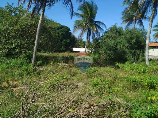 Chácara com 3 dormitórios para alugar, 100 m² por r$ 1.800,00/mês - zona rural - nísia flo - Foto 7