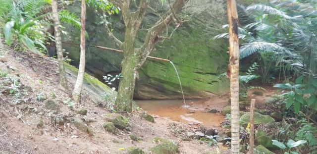 Sitio Timbui Fundão ES Oportunidade - Foto 14