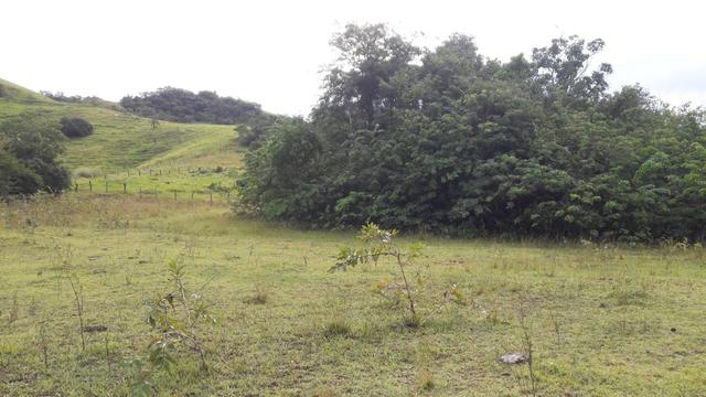 Saquarema - Terreno Madressilva - Rio Seco - 10.139m2 Próximo Km 64 Amaral Peixoto - Foto 9