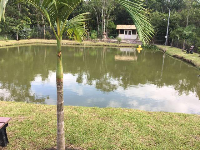 Chácara em Morretes Paraná (leia o anúncio!) - Foto 19