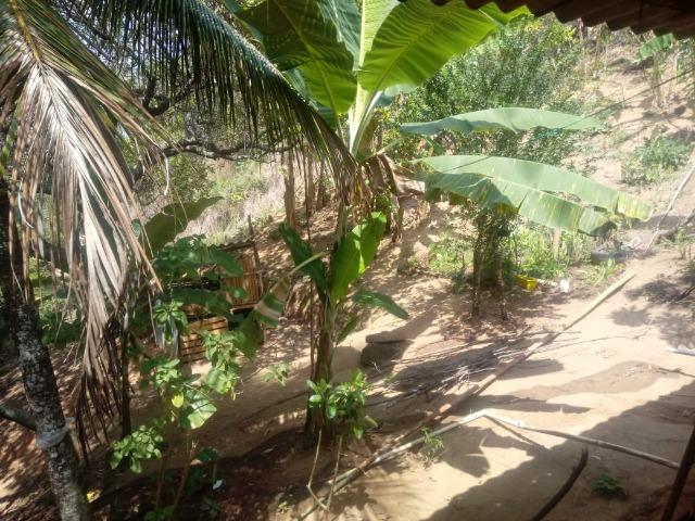 Sitio Timbui Fundão ES Oportunidade - Foto 12