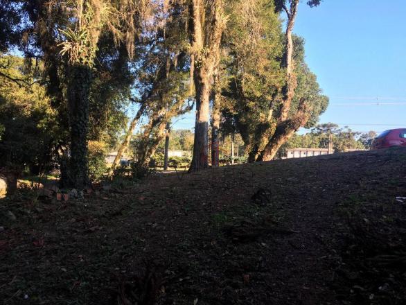 Amplo e em ótima localização, ideal para a edificação de um empreendimento! - Foto 3