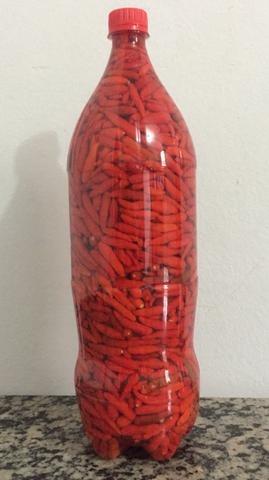 Pimenta Malagueta