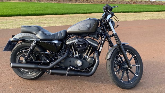 HARLEY DAVIDSON IRON 883 2019