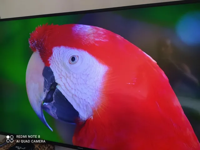 Tv sony 65 polegadas 4k  +19 anúncios na OLX Brasil