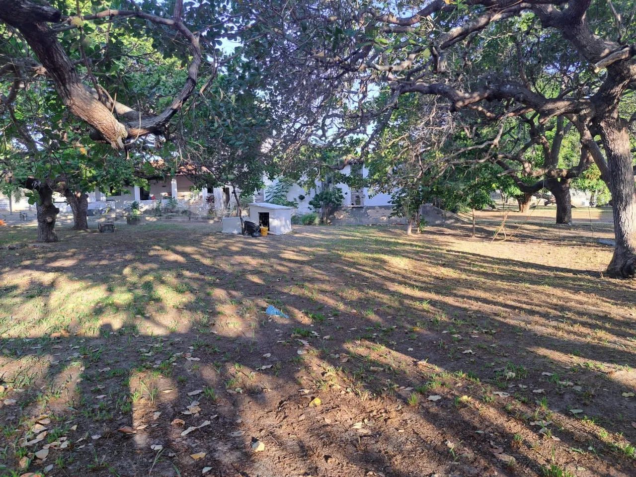 Sitio com Terreno de 6.446m² - Foto 3