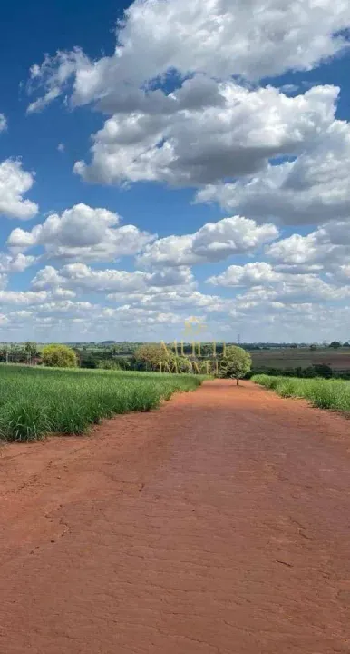 Sítio à venda, 19 alqueires por R$ 3.580.000 - Zona Rural - Indiaporã/SP