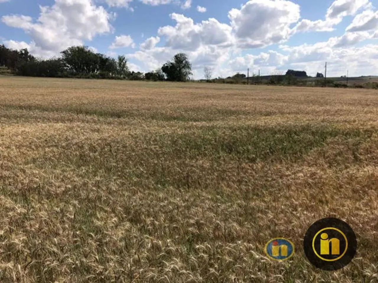 Sítio Rural à venda, Del Rey, Londrina - SI0025. - Foto 8