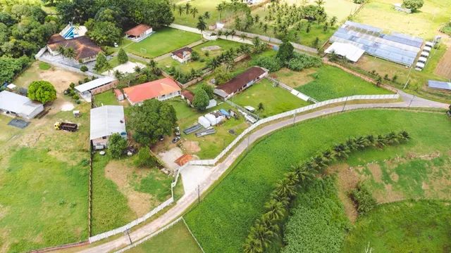 CHÁCARA 9.500M²  TARUMÃ MANAUS - Foto 3