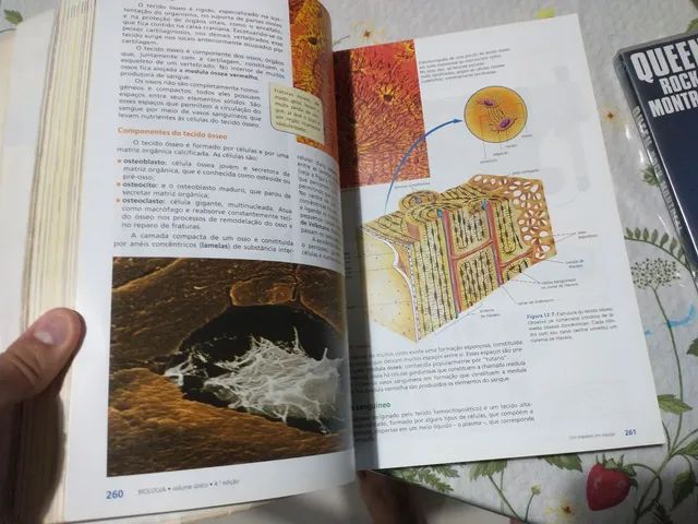 Livro de biologia volume único - Foto 5