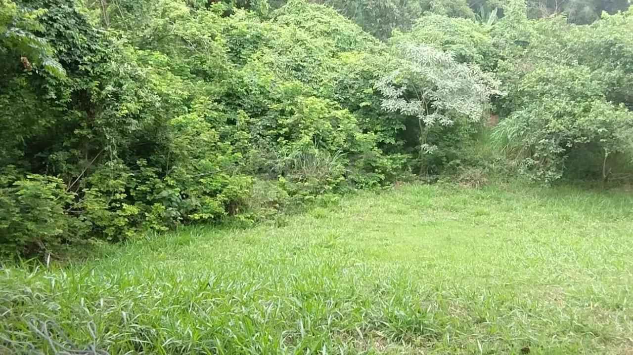 terreno condomínio Valinhos região porto seguro