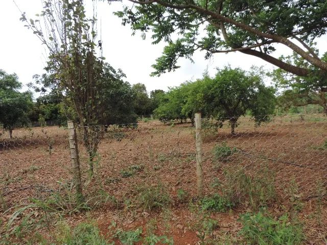 Vendo Chácara 64 --  Cascalheira 2 Hectares - Foto 4