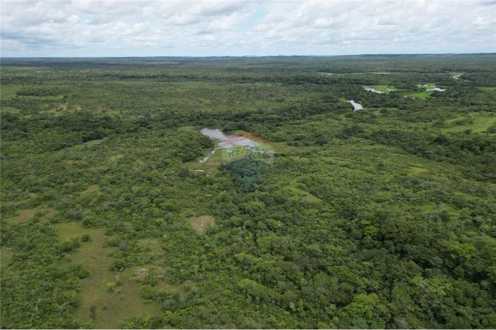 FAZENDA À VENDA  292 ALQUEIRES  CAROLINA/MA - Foto 3