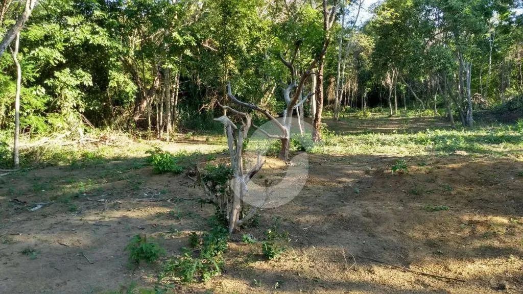 Terreno à venda, 2500 m² por R$ 120.000,00 - Inoã - Maricá/RJ - Foto 4