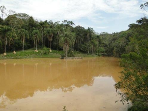 Sítio com piscina e churrasqueira - São Roque (60 km de S.P) 22/12 a 02/01 alugado - Foto 2