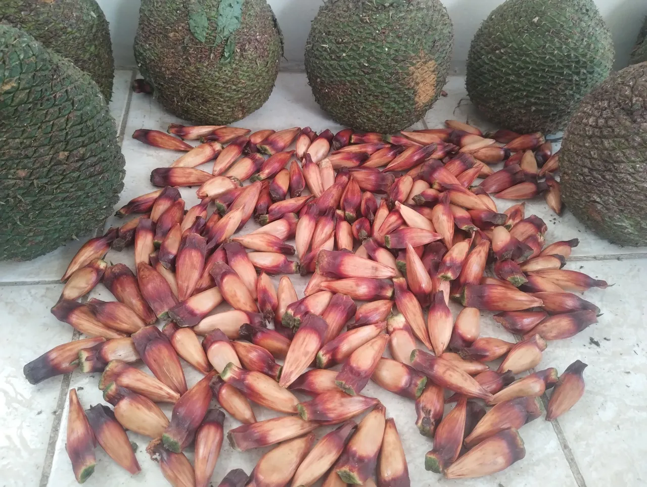 Vendo pinhão 6 reais o kilose precisa de tele tem
