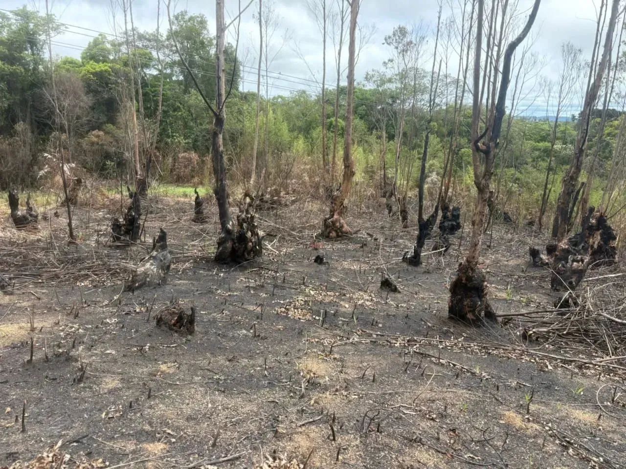 R$ 57.900: Seu Sonho de 1000m² em Ibiúna Começa Agora! - Foto 4