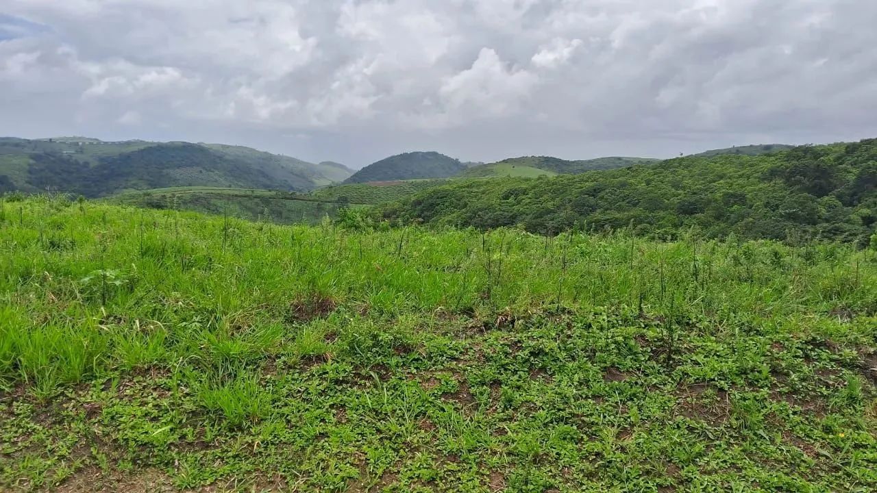 Excelente propriedade em Amaraji-PE - Foto 3