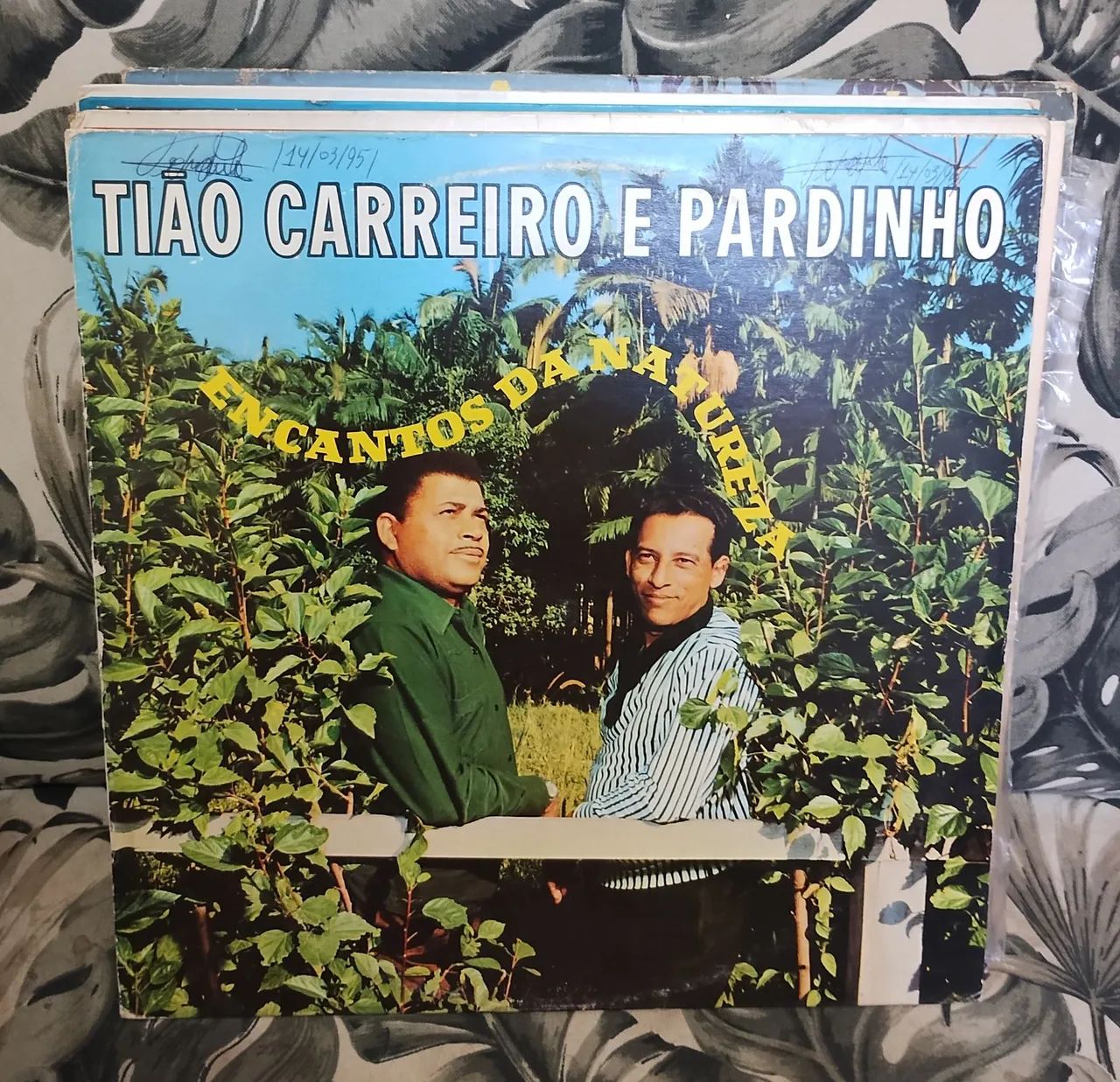 Tiao Carreiro e Pardinho - Encantos Da Natureza