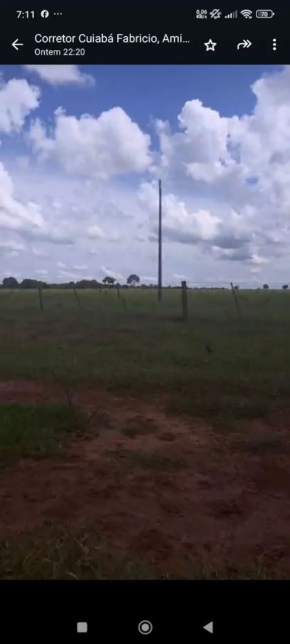 Fazenda arrendamento 4 mil hec em nova alvorada sim MS. - Foto 5