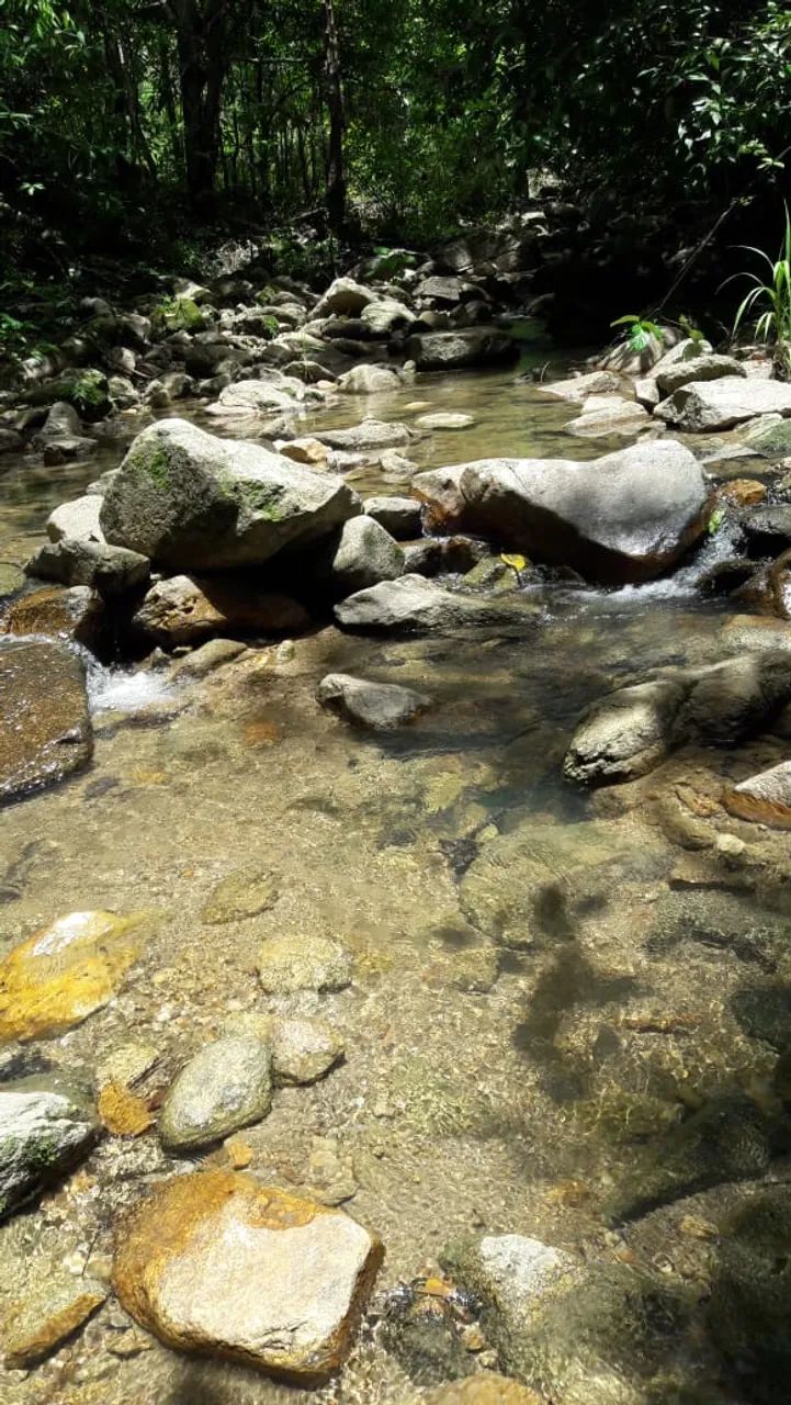 FAZENDA 43,5 ALQ  - Foto 5