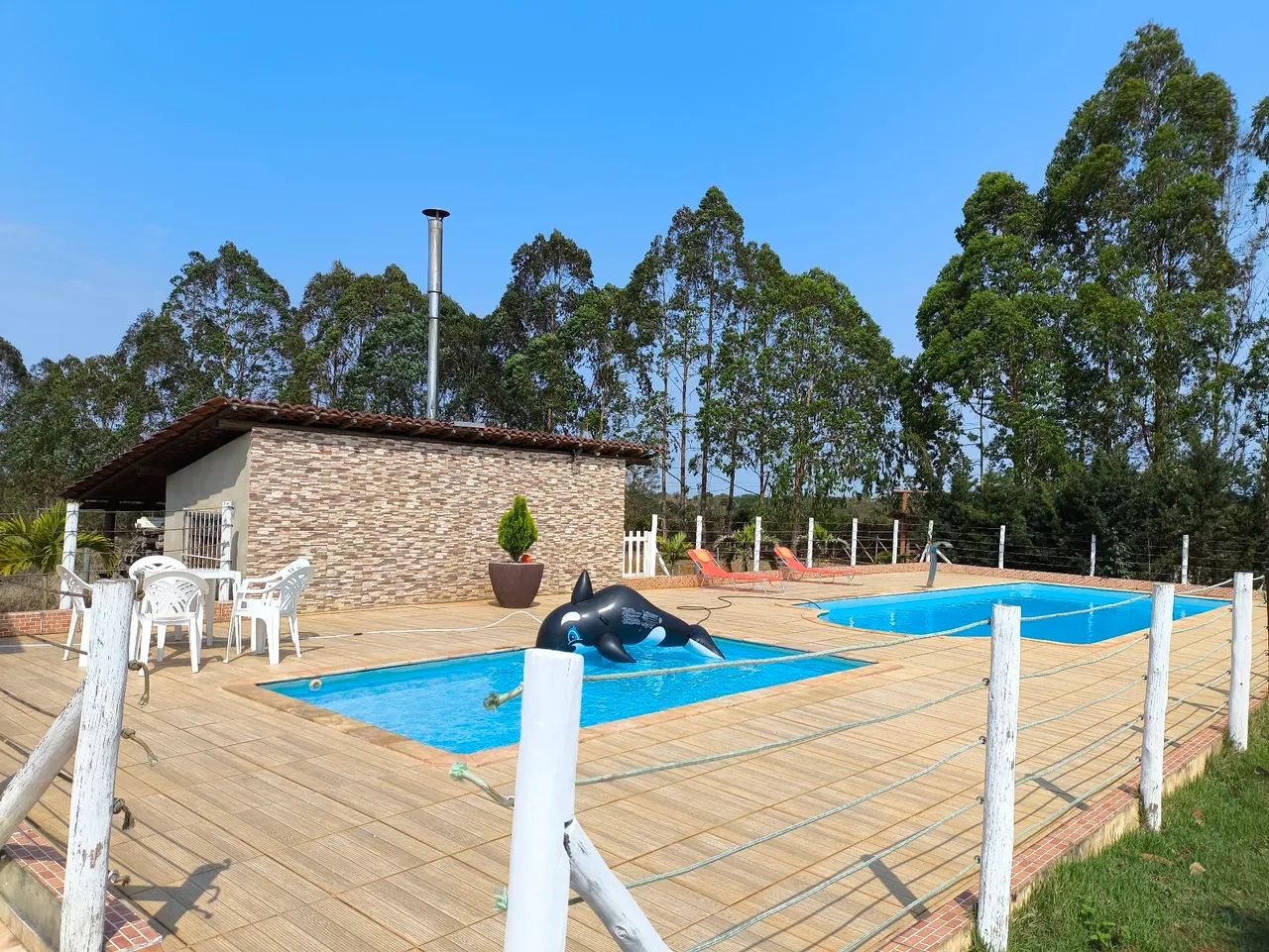 Lindo Sítio a Venda - Foto 4