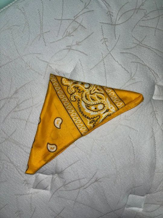 Top Bandana  - Foto 3