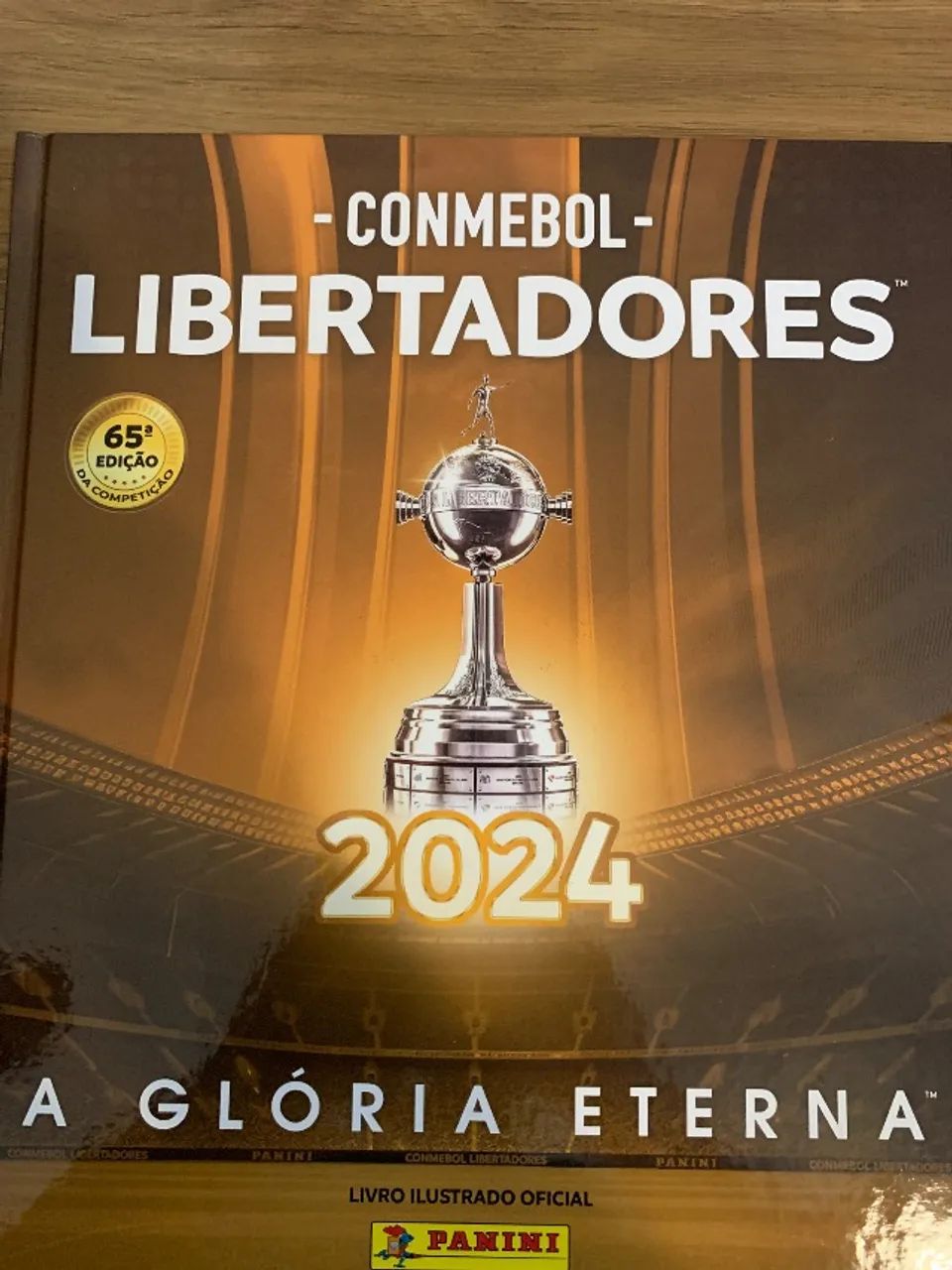Álbum de figurinhas completo capa dura- Brasileirão (20/21/22/23/24) e Libertadores (23/24 - Foto 6