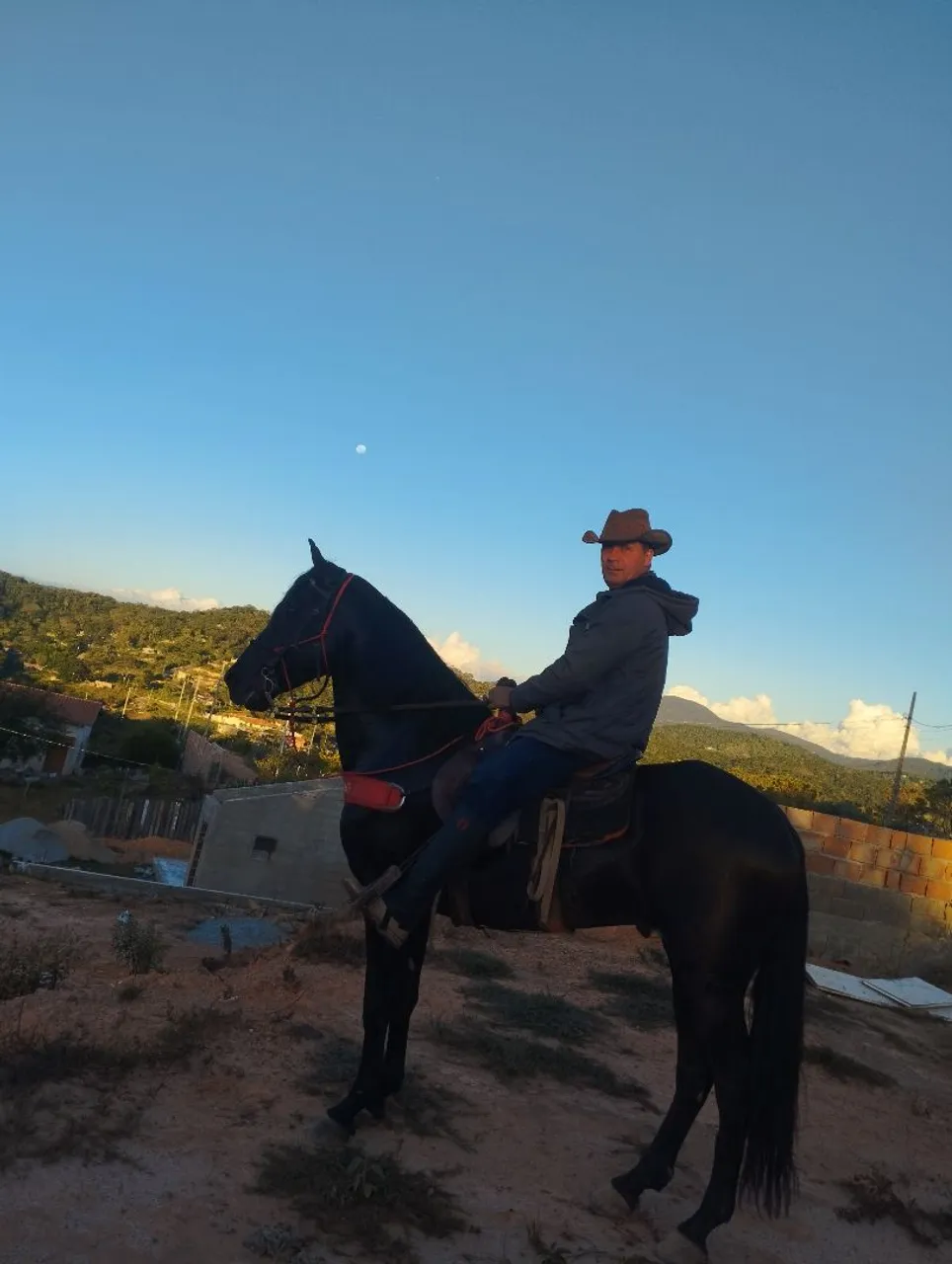 Cavalo para venda