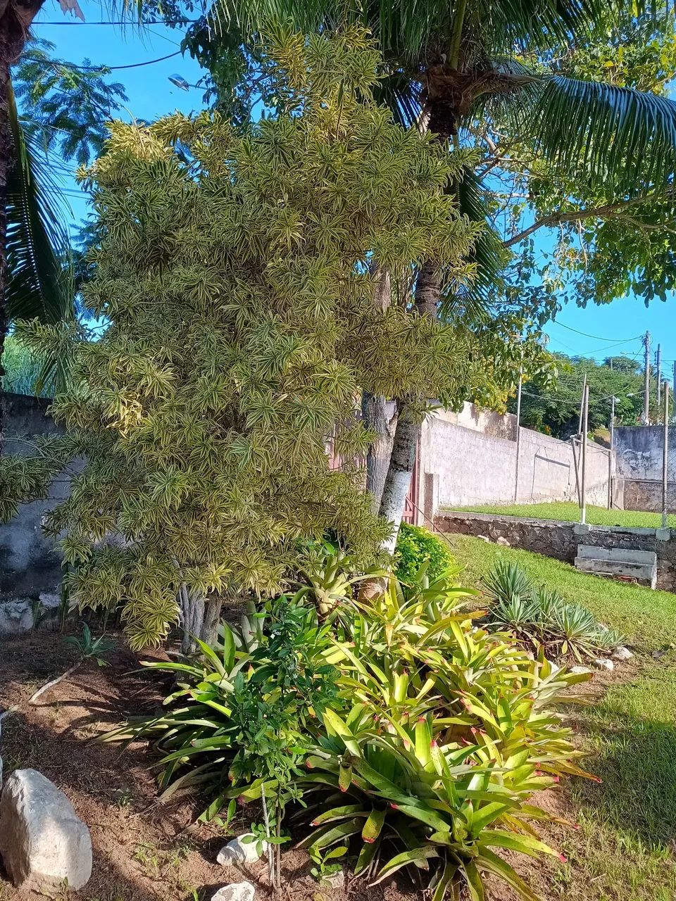 Casa Temporada, 4 Quartos, Piscina, Churrasqueira e Campo de Futebol - São Pedro da Aldeia - Foto 6