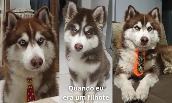 Procuro uma namorada linda 