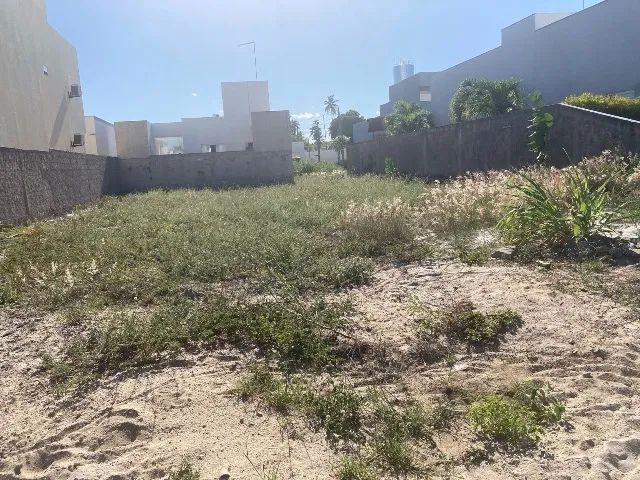 Terreno/Paripueira - Foto 5