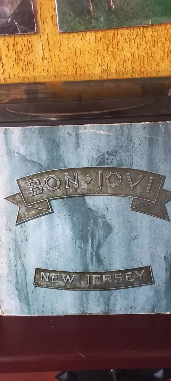 Vinil  Bon Jovi Jersey