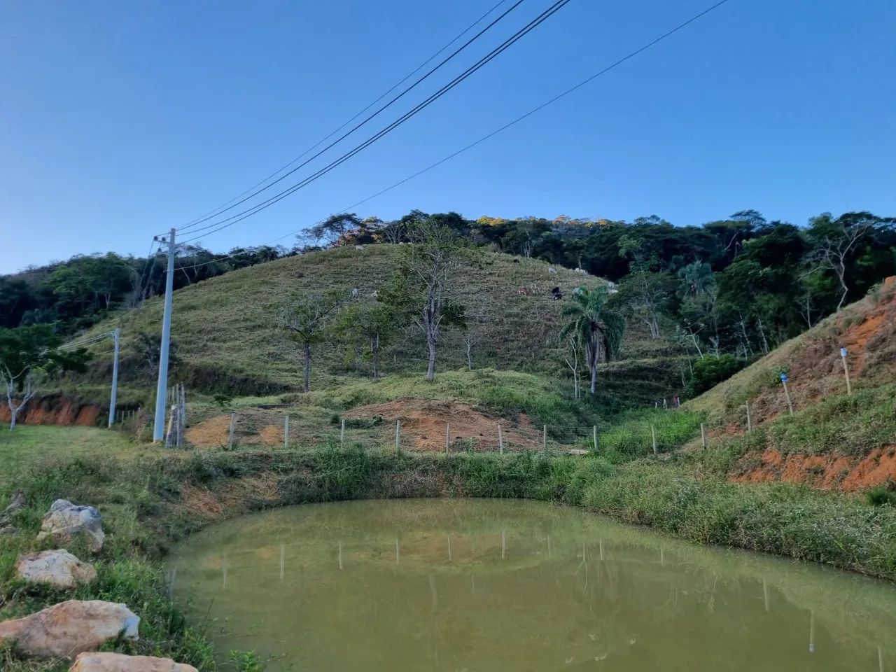 Chácara / Sítio / Granja 2 quartos - Pequeri - Foto 3