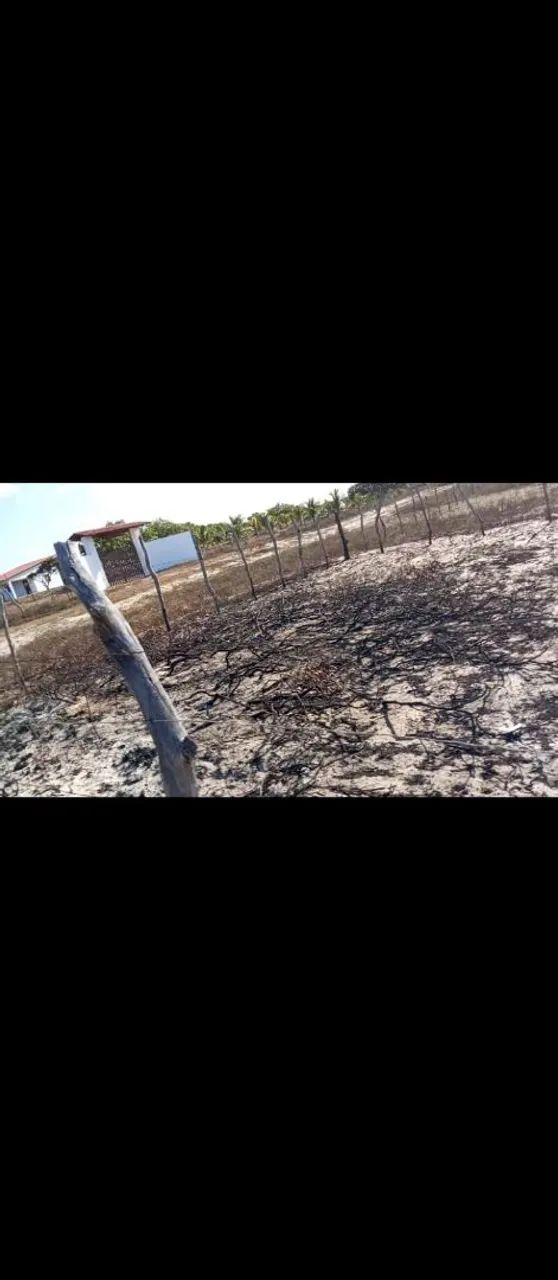 Terreno em Paulino neves  - Foto 3